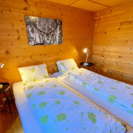 Jungtalblick Chilcheri By Interhome דירה