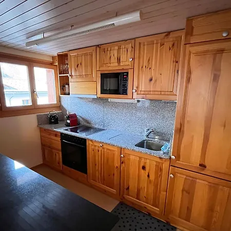 Jungtalblick Chilcheri By Interhome דירה