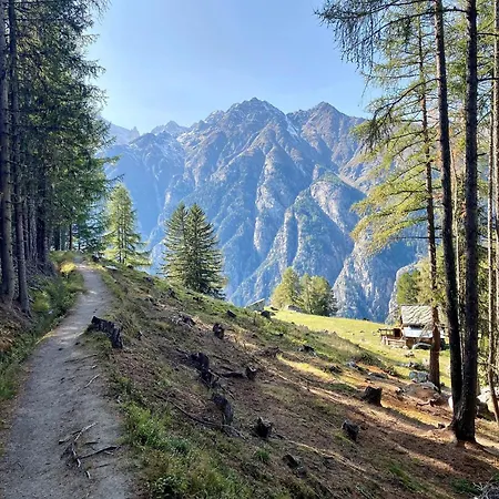 דירה Jungtalblick Chilcheri By Interhome גראצ'ן