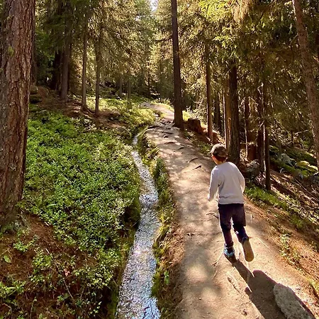 דירה Jungtalblick Chilcheri By Interhome *