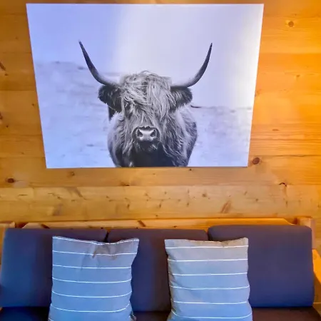Jungtalblick Chilcheri By Interhome * Grachen